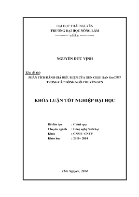Luận văn thạc sĩ phân tích đánh giá biểu hiện của gen chịu hạn gmchs7 trong các dòng ngô chuyển gen