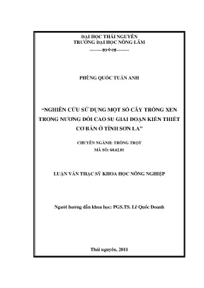 Luận văn thạc sĩ nghiên cứu sử dụng một số cây trồng xen trong nương đồi cao su giai đoạn kiến thiết cơ bản ở tỉnh sơn la