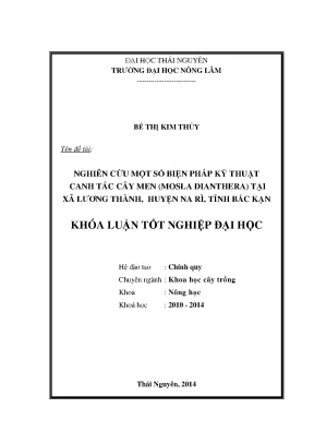 Luận văn thạc sĩ nghiên cứu một số biện pháp kỹ thuật canh tác cây men mosla dianthera tại xã lương thành huyện na rì tỉnh bắc kạn