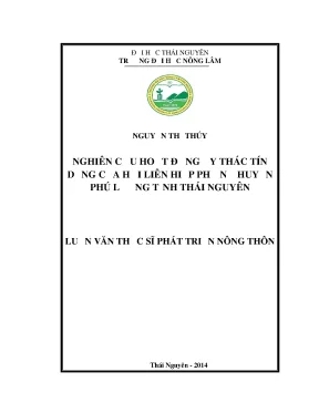 Luận văn thạc sĩ nghiên cứu hoạt động ủy thác tín dụng của hội liên hiệp phụ nữ huyện phú lương tỉnh thái nguyên