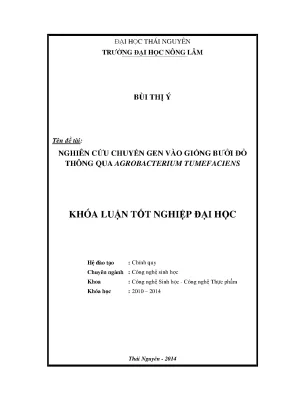 Luận văn thạc sĩ nghiên cứu chuyển gen vào giống bưởi đỏ thông qua agrobacterium tumefaciens