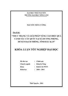 Luận văn thạc sĩ thực trạng và giải pháp nâng cao hiệu quả canh tác cây quýt tại xã dương phong huyện bạch thông tỉnh bắc kạn
