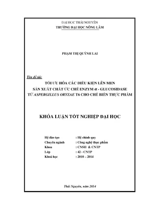 Luận văn thạc sĩ tối ưu hóa các điều kiện lên men sản xuất chất ức chế enzym α glucosidase từ aspergillus oryzae t6 cho chế biến thực phẩm