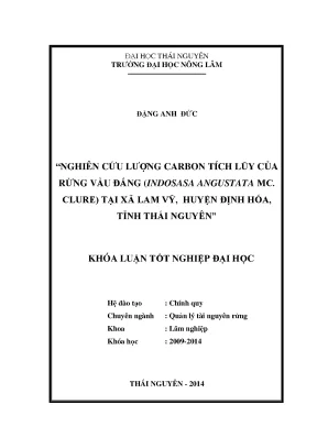 Luận văn thạc sĩ nghiên cứu lượng carbon c tích lũy của rừng vầu đắng indosasa angustata mc clure tại xã lam vỹ huyện định hóa tỉnh thái nguyên