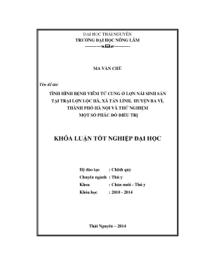 Luận văn thạc sĩ tình hình mắc bệnh viêm tử cung ở đàn lợn nái tại trại lợn lộc hà xã tản lĩnh huyện ba vì thành phố hà nội và thử nghiệm một số phác đồ điều trị
