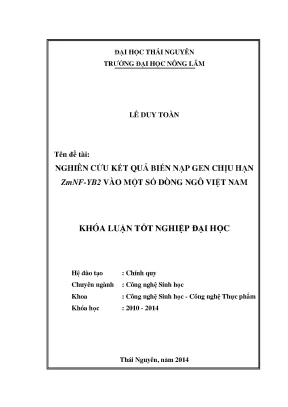 Luận văn thạc sĩ nghiên cứu kết quả biến nạp gen chịu hạn zmnf yb2 vào một số dòng ngô việt nam