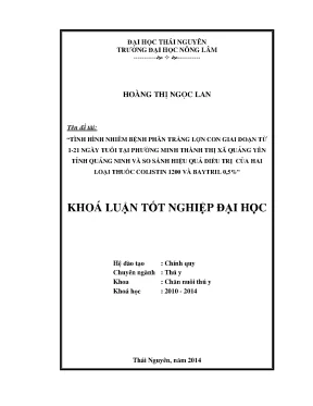 Luận văn thạc sĩ tình hình mắc bệnh viêm tử cung ở đàn lợn nái sinh sản tại huyện tam nông t ỉnh phú thọ và thử nghiệm hai phác đồ điều trị bệnh