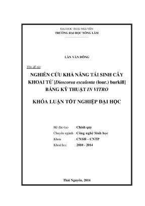 Luận văn thạc sĩ nghiên cứu khả năng tái sinh cây khoai từ dioscorea esculenta lour burkill bằng kỹ thuật in vitro