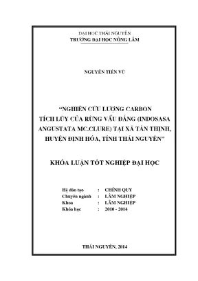 Luận văn thạc sĩ nghiên cứu lượng carbon c tích lũy của rừng vầu đắng indosasa angustata mc clure tại xã tân thịnh huyện định hóa tỉnh thái nguyên