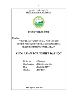 Luận văn thạc sĩ thực trạng và một số giải pháp chủ yếu phát triển kinh tế hộ tại xã nguyên phúc huyện bạch thông tỉnh bắc kạn