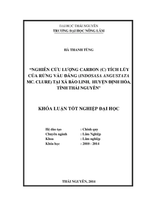 Luận văn thạc sĩ nghiên cứu lượng carbon c tích lũy của rừng vầu đắng indosasa angustata mc clure tại xã bảo linh huyện định hóa tỉnh thái nguyên