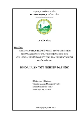 Luận văn thạc sĩ nghiên cứu thực trạng ô nhiễm trứng giun tròn oesophagostomum spp triệu chứng bệnh tích của lợn mắc bệnh tại huyện đồng hỷ tỉnh thái nguyên và dùng thuốc điều trị