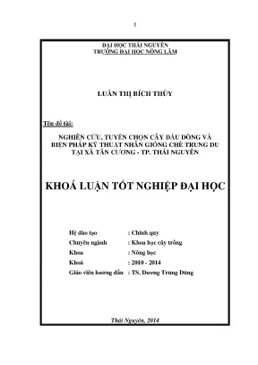 Luận văn thạc sĩ nghiên cứu tuyển chọn cây đầu dòng và biện pháp kĩ thuật nhân giống chè trung du tại xã tân cương tp thái nguyên