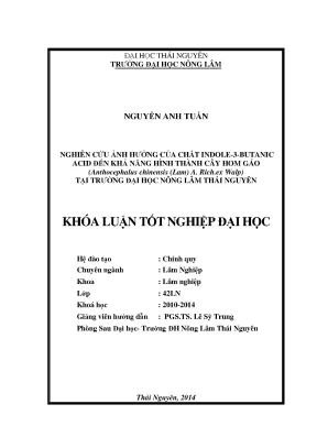 Luận văn thạc sĩ nghiên cứu ảnh hưởng của chất indole 3 butanic acid iba đến khả năng hình thành cây hom gáo anthocephalus chinensis lam a rich ex walp tại trường đại học nông lâm thái nguyên