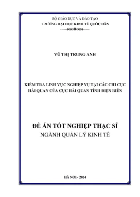 Luận văn thạc sĩ quản lý kinh tế kiểm tra lĩnh vực nghiệp vụ tại các chi cục hải quan của cục hải quan tỉnh điện biên