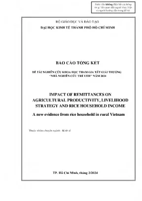 Impact of remittances on agricultural productivity livelihood strategy and rice household income a new evidence from rice household in rural vietnam