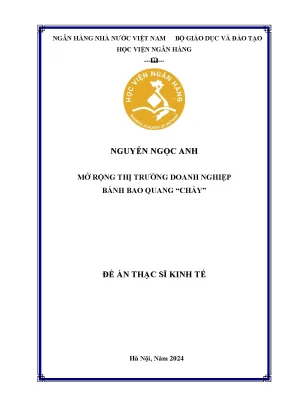 Luận văn thạc sĩ quản trị kinh doanh mở rộng thị trường doanh nghiệp bánh bao quang cháy