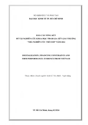 Digitalization financing constraints and firm performance evidence from vietnam