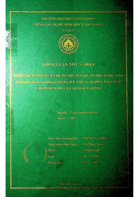 Phân tích mối quan hệ di truyền quần thể long não cinnamomum camphora bằng kỹ thuật rapd làm cơ sở cho bảo tồn và cải thiện giống