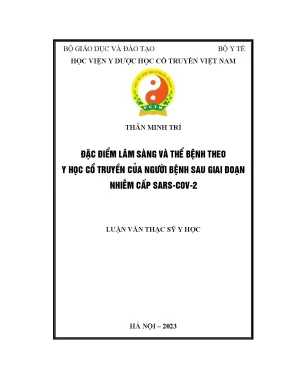 3 luận văn thân minh trí
