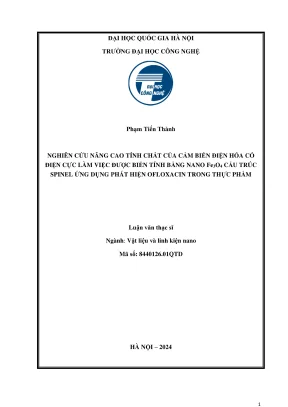 Luan van thac si luat hoc nghien cuu nang cao tinh chat cua cam bien dien hoa co dien cuc lam viec duoc bien tinh bang nano fe3o4 cau truc spinel ung dung phat hien ofloxacin trong thuc pham