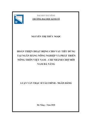 Hoàn thiện hoạt động cho vay tiêu dùng tại ngân hàng nông nghiệp và phát triển nông thôn việt nam chi nhánh chợ mới nam đà nẵng