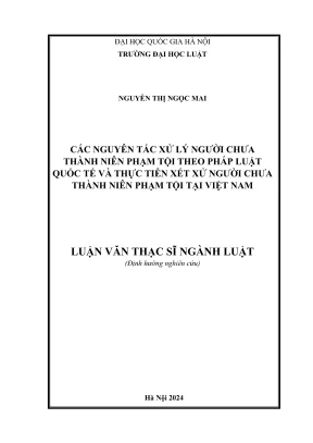 Luận văn thạc sĩ luật học các nguyên tắc xử lý người chưa thành niên phạm tội theo pháp luật quốc tế và thực tế xét xử người chưa thành niên phạm tội tại việt nam