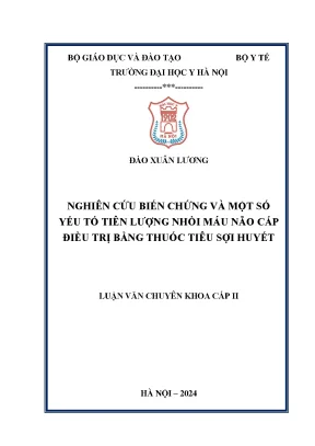 Luận văn chuyên khoa cấp ii nghiên cứu biến chứng và một số yếu tố tiên lượng nhồi máu não cấp điều trị bằng thuốc tiêu sợi huyết