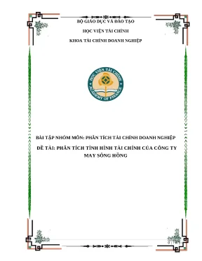 Môn phân tích tài chính doanh nghiệp đề tài phân tích tình hình tài chính của công ty may sông hồng