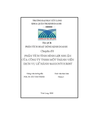 Đề phân tích tình hình lợi nhuận của công ty tnhh một thành viên dịch vụ lữ hành saigonto
