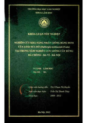 Nghiên cứu khả năng nhân giống bằng hom của loài sưa đỏ dalbergia tonkinensis prain tại trung tâm nghiên cứu giống cây rừng đá chông ba vì hà nội