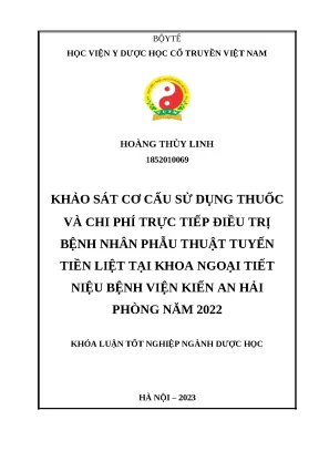 Khảo sát cơ cấu sử dụng thuốc và chi phí trực tiếp điều trị bệnh nhân phẫu thuật tuyến tiền liệt tại khoa ngoại tiết niệu bệnh viện kiến an hải phòng năm 2022