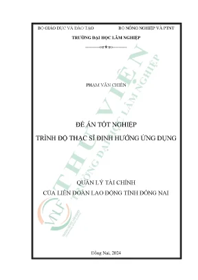 Quản lý tài chính của liên đoàn lao động tỉnh đồng nai