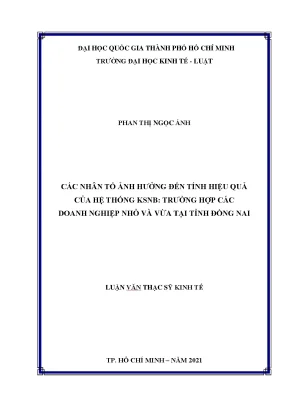 Các nhân tố ảnh hưởng đến tính hiệu quả của hệ thống ksnb trường hợp các doanh nghiệp nhỏ và vừa tại tỉnh đồng nai