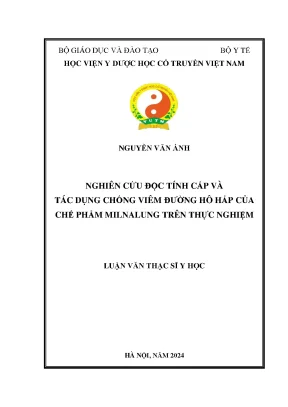 28 nguyễn văn ánh