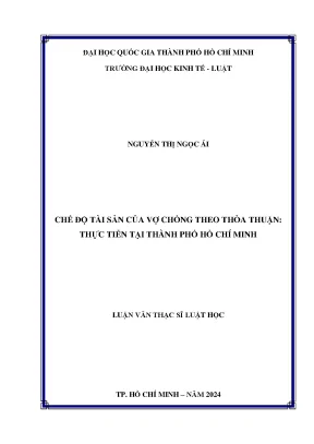 Chế độ tài sản của vợ chồng theo thỏa thuận thực tiễn tại thành phố hồ chí minh