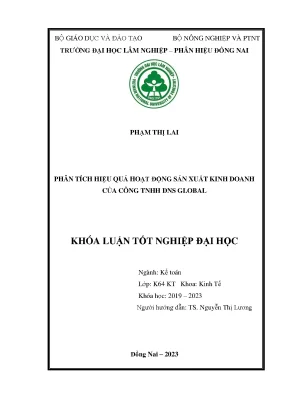 Phân tích hiệu quả hoạt động sản xuất kinh doanh tại công ty tnhh dns global