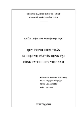 Quy trình kiểm toán r nnghiệp vụ cấp tín dụng tại r ncông ty tnhh ey việt nam