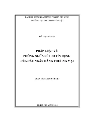 Pháp luật về phòng ngừa rủi ro tín dụng của các ngân hàng thương mại