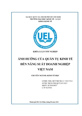 Ảnh hưởng của quần tụ kinh tế đến năng suất doanh nghiệp việt nam