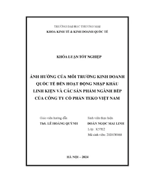 Ảnh hưởng môi trường kinh doanh quốc tế đến hoạt động nhập khẩu linh kiện và các sản phẩm ngành bếp của công ty cổ phần teko việt nam