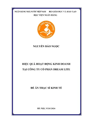 Hiệu quả hoạt động kinh doanh tại công ty cổ phần dream lite