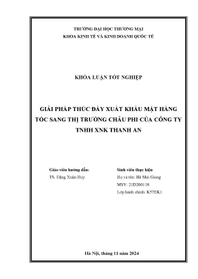 Giải pháp thúc đẩy xuất khẩu mặt hàng tóc sang thị trường châu phi của công ty tnhh xnk thanh an