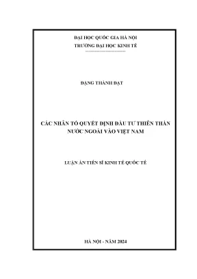Các nhân tố quyết định đầu tư thiên thần nước ngoài vào việt nam