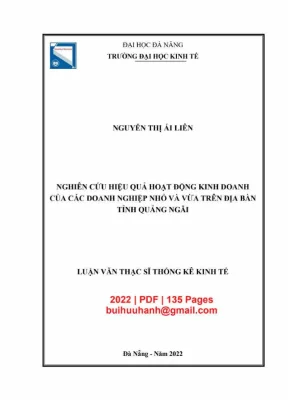 Luận văn thạc sĩ nghiên cứu hiệu quả hoạt động kinh doanh của các doanh nghiệp nhỏ và vừa trên địa bàn tỉnh quảng ngãi