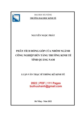Luận văn thạc sĩ phân tích đóng góp của nhóm ngành công nghiệp đến tăng trưởng kinh tế tỉnh quảng nam