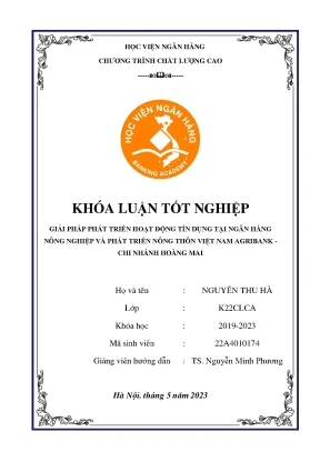 Giải pháp phát triển hoạt động tín dụng tại ngân hàng nông nghiệp và phát triển nông thôn việt nam agribank chi nhánh hoàng mai