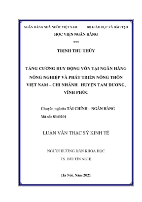 Tăng cường huy động vốn tại ngân hàng nông nghiệp và phát triển nông thôn việt nam chi nhánh huyện tam dương vĩnh phúc