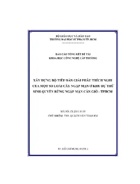 Xây dựng bộ tiêu bản giải phẫu thích nghi của một số loài cây ngập mặn ở khu dự trữ sinh quyển rừng ngập mặn cần giờ tp hcm