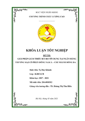 Giải pháp giảm thiểu rủi ro tín dụng tại ngân hàng thương mại cổ phần đông nam á chi nhánh đống đa